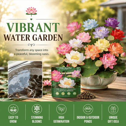 🌱 100 PCS Mixed Colors Water Planting Lotus Seeds Set 🌸