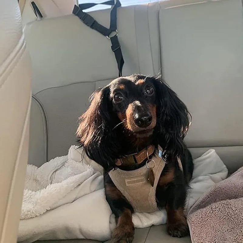 2-in-1 Dog Car Seat Belt & Walking Leash-BUY 1 GET 1 FREE