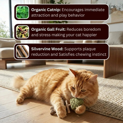 Catnip & Silvervine Chew-3 PCS